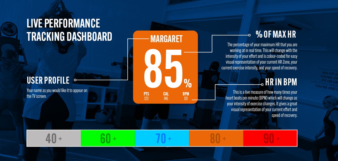 Bodywise live performance tracking dashboard showing heart-rate effort zones